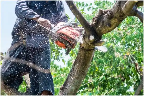 tree services Ellport